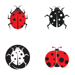 Obraz premium Ladybug. Insect ladybug