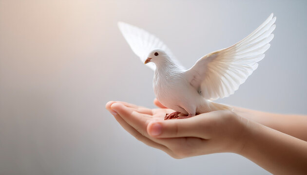 child hands holding white dove bird on blue background, international day of peace or world peace day concept, sustainable consumption, csr responsible business concep