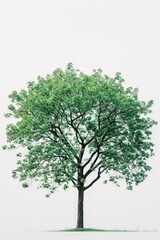 Obraz premium Lone Tree in the Field