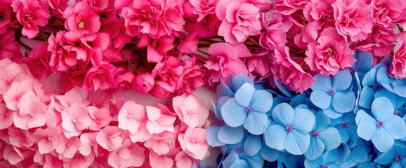 Fototapeta premium Beautiful Fresh Blue And Pink Hydrangea And Delphinium Flowers, Close-Up Vertical View, Capturing Nature'S Elegance