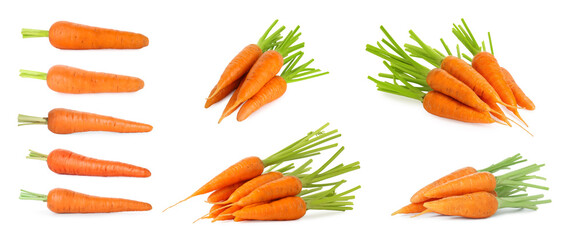 Many fresh ripe carrots isolated on white, set