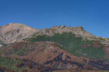 Wildfire Mount Healy, Alaska Range, Denali National Park and Preserve, Alaska. Riley Fire 