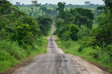 Nature Path Through Lush Forest
