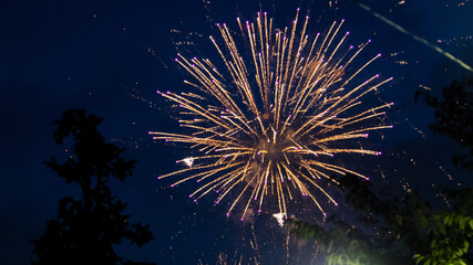 Sumidagawa Fireworks Festival 2024 in Tokyo