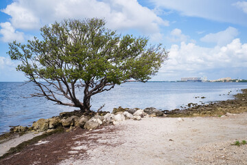 Public beach along the Rickenbacker Causeway in Miami