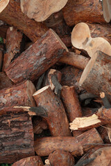 Pile of Tree Parts Slice Stump, Log end Other Tree Trunk Parts for Wallpaper Background. Selective Focus Photo.