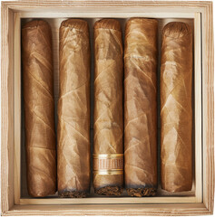 Five Cigars in Box