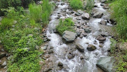 water flowing in the forest