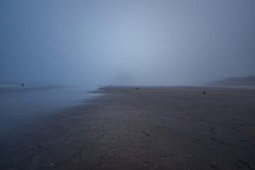 Neskowin Ghost Forest at the Pacific Ocean, in Oregon Coast, captured during foggy twilight time