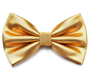 Gold bow tie