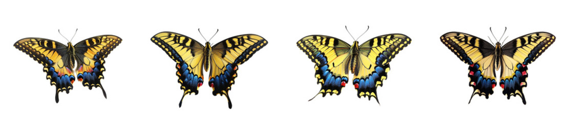Naklejka premium Four Yellow and Black Butterflies on Black Background