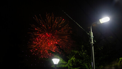 Sumidagawa Fireworks Festival 2024 in Tokyo