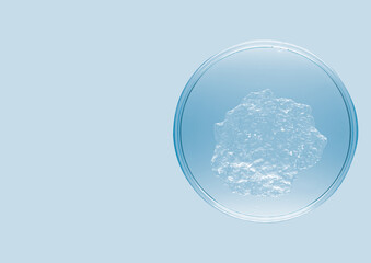 Pale blue agar, liquid in petri dish isolated on white background. Cell culture , Labology  for case study more use. 