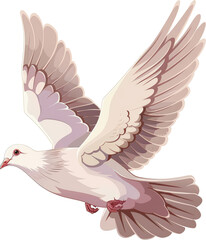 Obraz premium White dove in flight