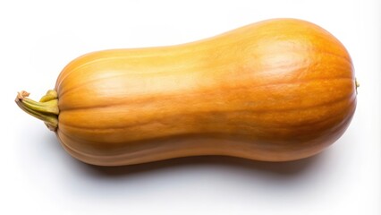 A Single Butternut Squash with a Green Stem