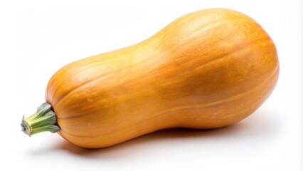 A Single Butternut Squash on White Background