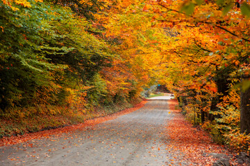 Back roads through rural Vermont, USA in autumn time