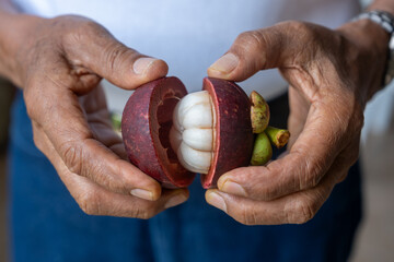 Men holding a mangosteen