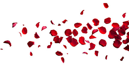Red rose petals floating in the air, a romantic Valentine's Day concept