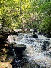 Fototapeta premium Ricketts Glen State Park, Pennsylvania, USA