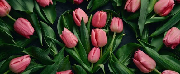 Obraz premium Heart-Shaped Spring Pink Tulip Flower Frame, Celebrating Love And Renewal