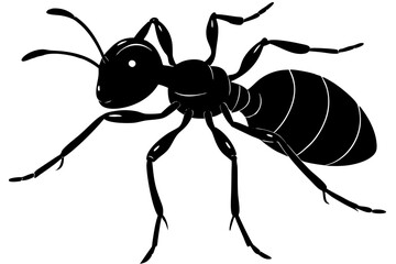 Ant vector silhouette, Vector of ant design, ant silhouette design
