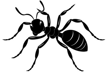 Ant silhouette, ant icon, Vector Illustration