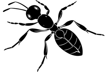 Ant vector silhouette, Vector of ant design, ant silhouette design