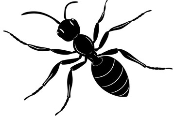 Ant silhouette, ant icon, Vector Illustration