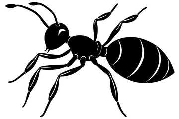 Ant silhouette, ant icon, Vector Illustration