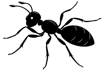 Ant silhouette, ant icon, Vector Illustration