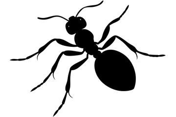Ant vector silhouette, Vector of ant design, ant silhouette design