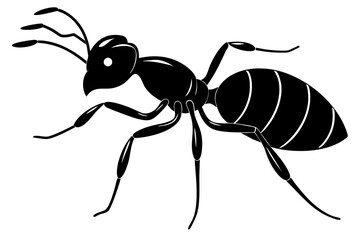 Ant silhouette, ant icon, Vector Illustration