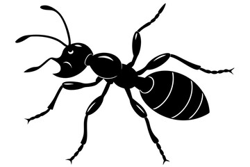 Ant silhouette, ant icon, Vector Illustration