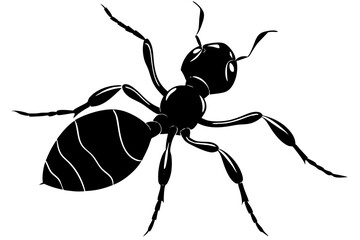 Ant silhouette, ant icon, Vector Illustration