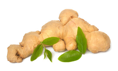 Fresh ginger root with leaves isolated on white background
