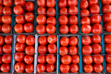 Many Organic tomatoes up for sale in farm market.