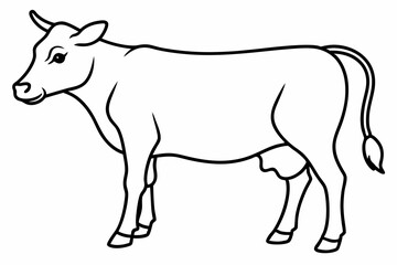 cow line art vector illustration	

