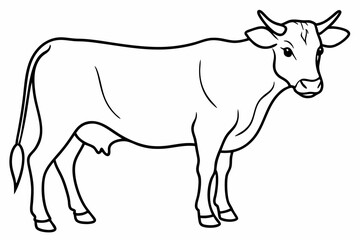 cow line art vector illustration	
