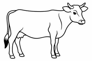 cow line art vector illustration	
