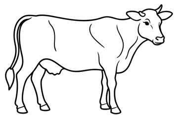 cow line art vector illustration	
