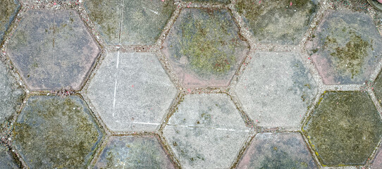 neatly arranged hexagonal conblocks for road coverings