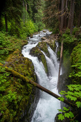 Beautiful Olympic National park in Washington