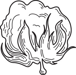 Vintage Cotton Vector Line Illustration