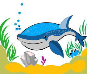 /var/www/converters/public/uploads/Illustration_design_commemorating_international_Whale_Shark_Day_with_a_funny_face_with_grass_and_coral_reefs_1722307511732.eps