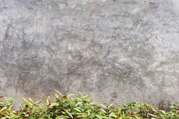 Naklejka premium Concrete cement cracked wall texture for background 