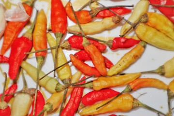 a collection of fresh red and green chilies