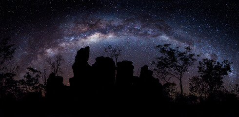 Milky Way galaxy arching over a silhouette of rocky terrain and sparse trees.