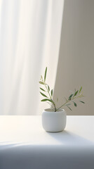 white minimalist plant and table scene setting poster background with Generative