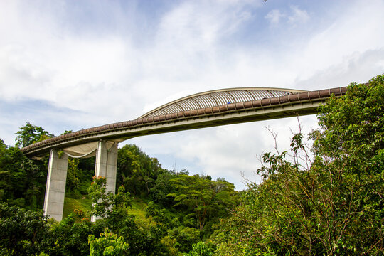 Henderson Waves Bridge Surrounded By Forest In Singapore Viewed From Distance. The Henderson Waves Completed In 2008, Is The Most Impressive Of All The Bridges Along The Trail